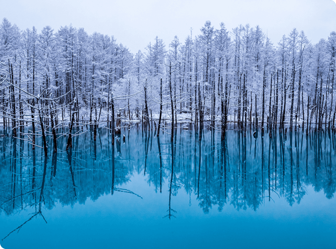 Tourism Development in Hokkaido