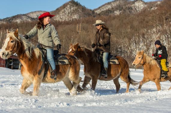Horseback Riding in Sapporo- 50 or 80 min. course