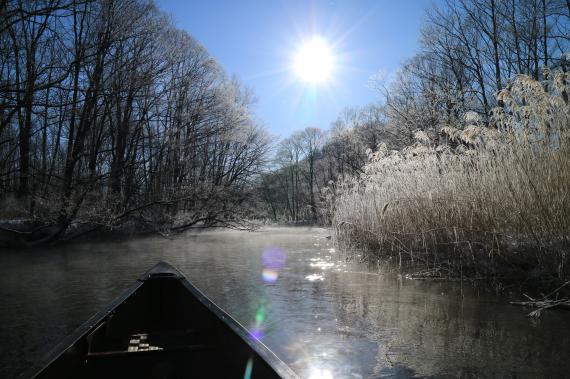Private canoe tour along the Kushiro River among frost-covered trees