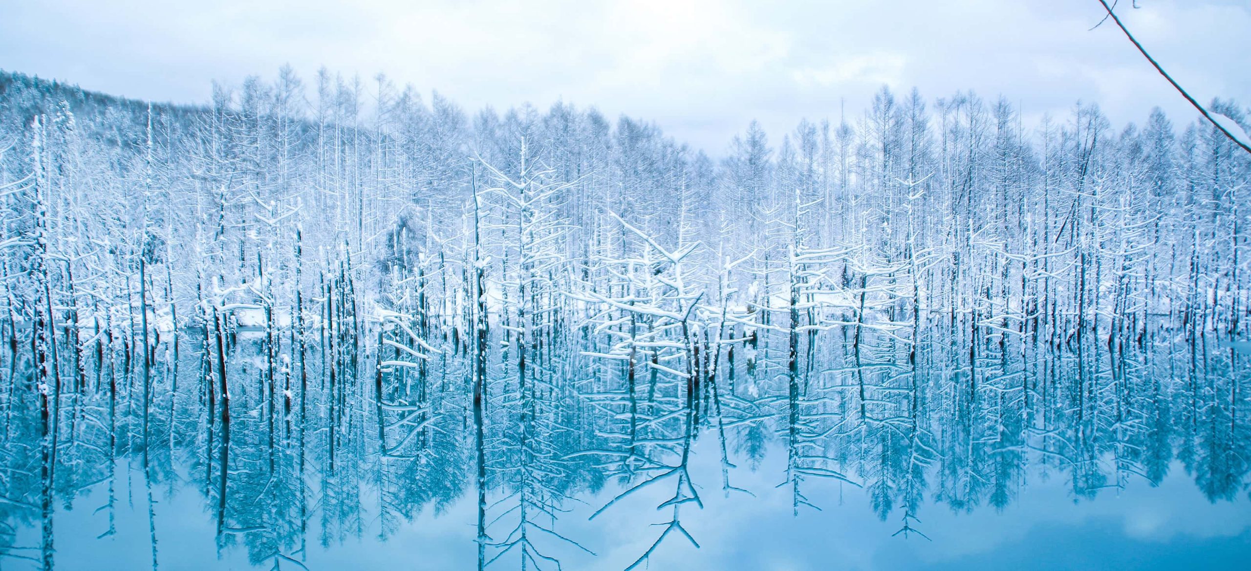 Create your own special custom tour