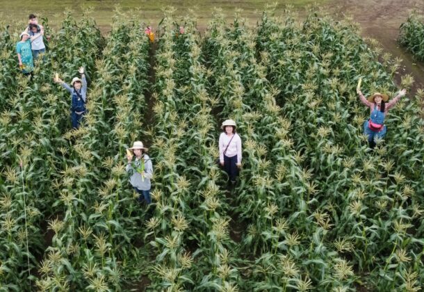 Farm picnic with guide- a fun lunch tour in Tokachi!