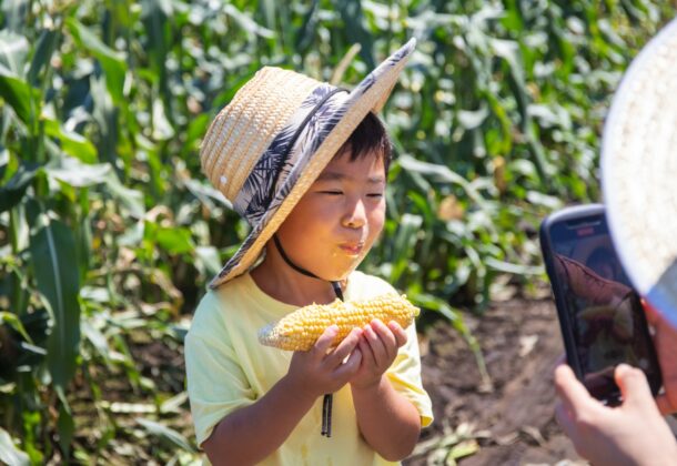 Farm picnic with guide- corn harvesting tour in Tokachi!