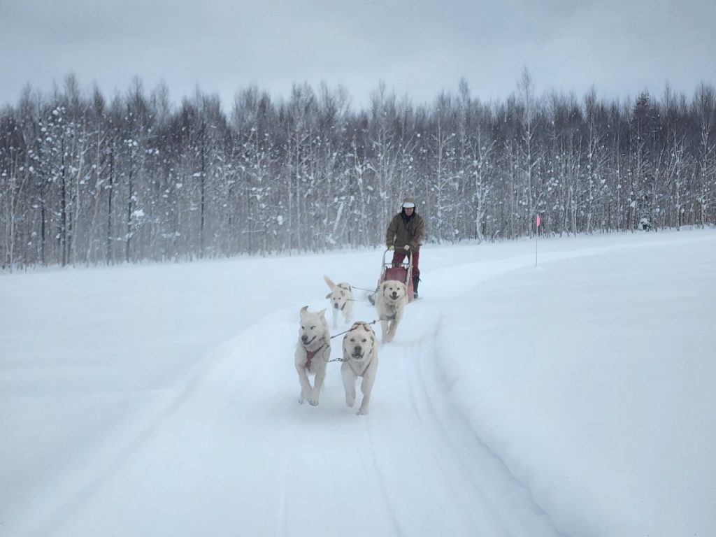北海道の体験型観光アクティビティの予約サイト