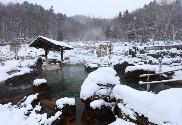 Enjoy Hot Springs with Private Transport from Sapporo [Special All Hokkaido Price!]