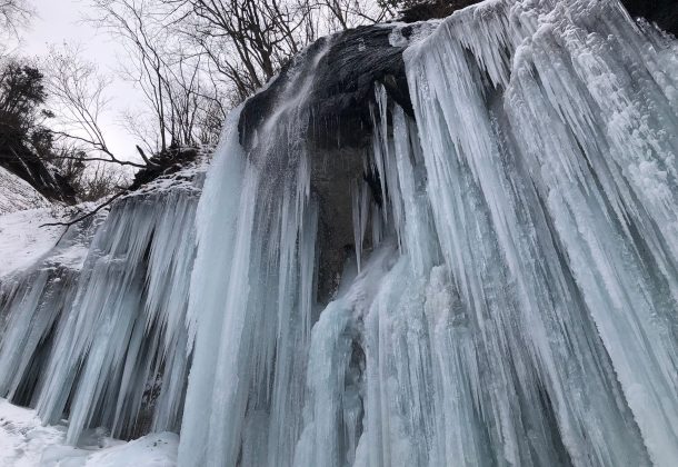 Enjoy Shiraoi- Ice Waterfalls and Shiraoi Tokuju Wagyu Beef Lunch with pickup included