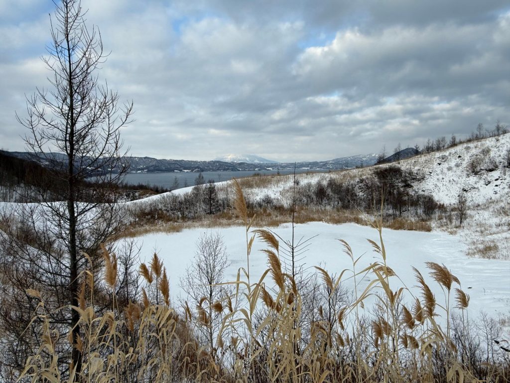 北海道の体験型観光アクティビティの予約サイト