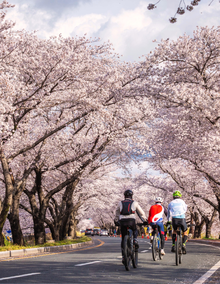 Tours and Activities in Hokkaido, Japan