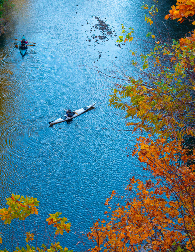 Tours and Activities in Hokkaido, Japan