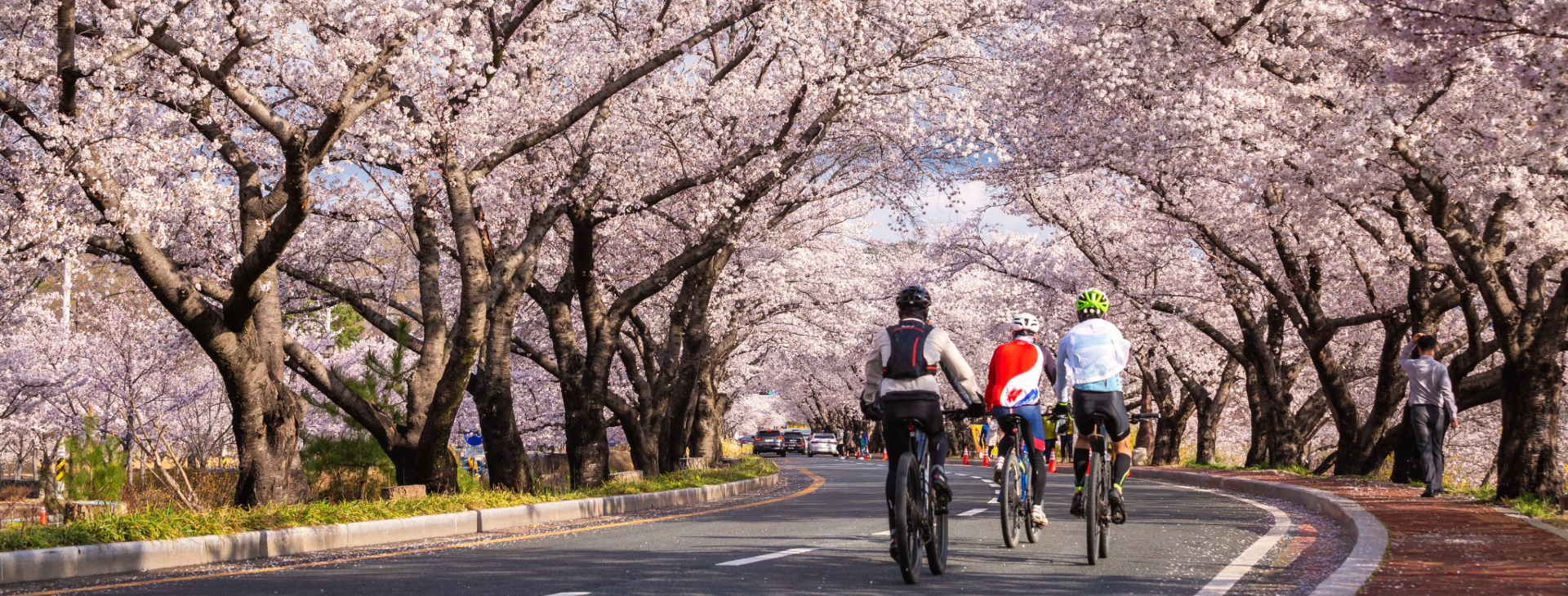 Tours and Activities in Hokkaido, Japan