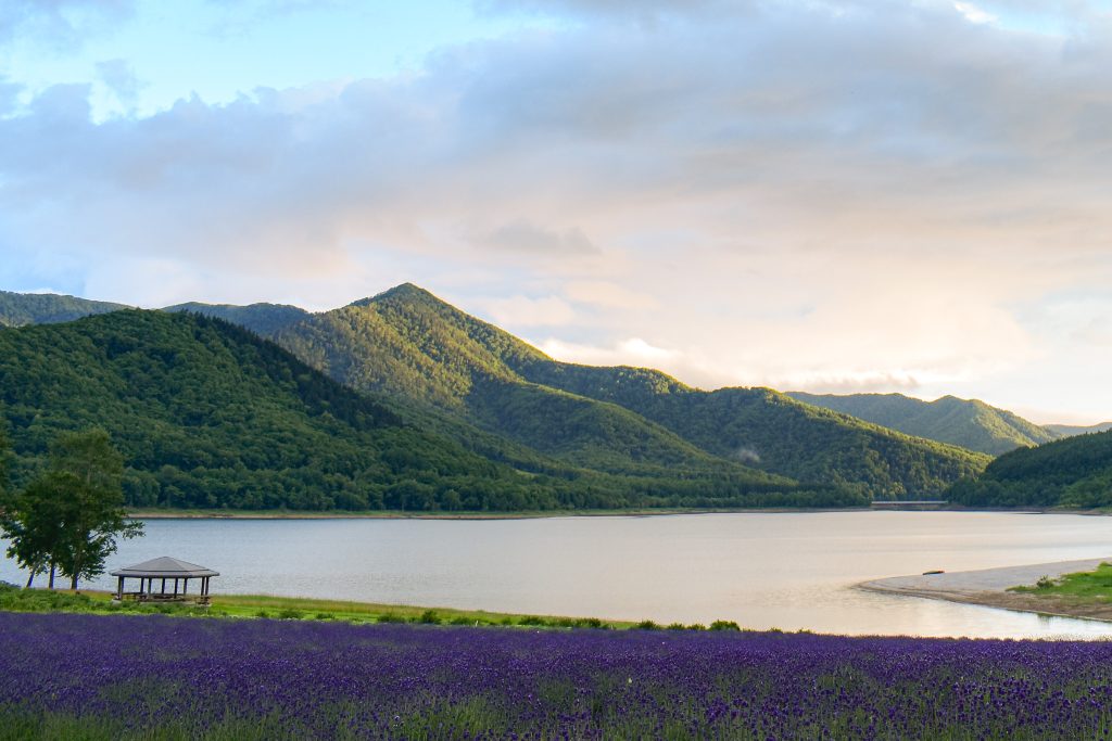 北海道の体験型観光アクティビティの予約サイト