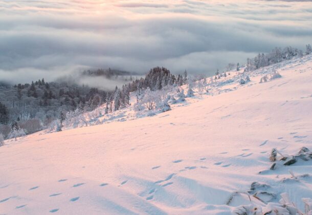 Let's go see the largest caldera in Japan! Bihoro Pass Winter Mountain Top Tour, Half-day tour with a local guide
