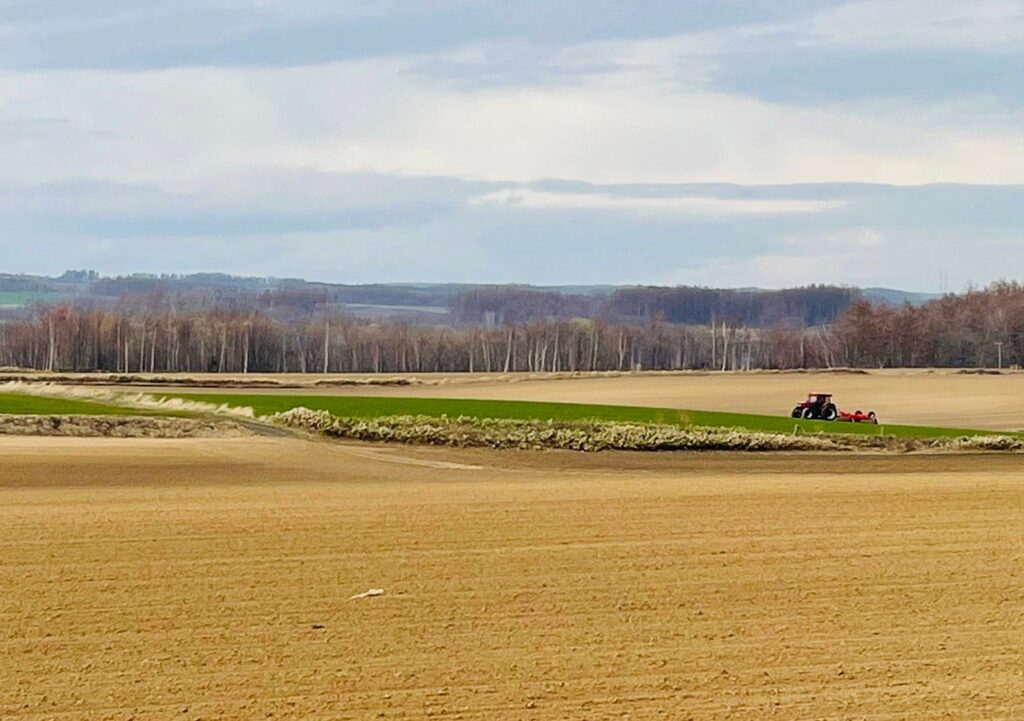 北海道の体験型観光アクティビティの予約サイト
