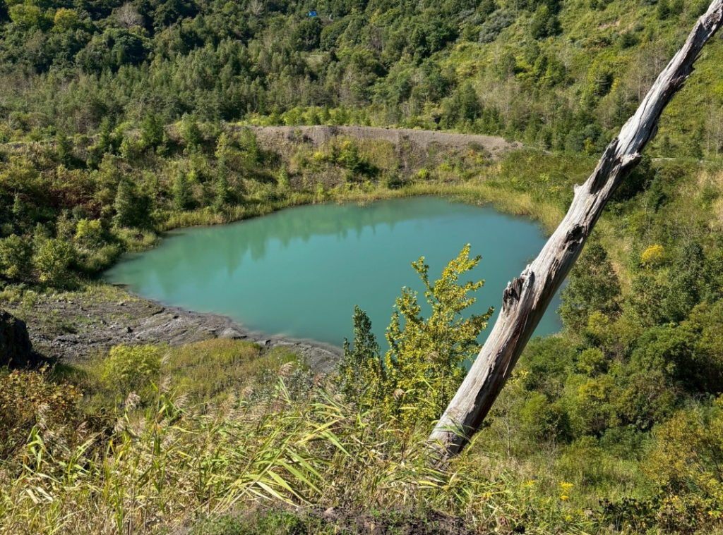 北海道の体験型観光アクティビティの予約サイト