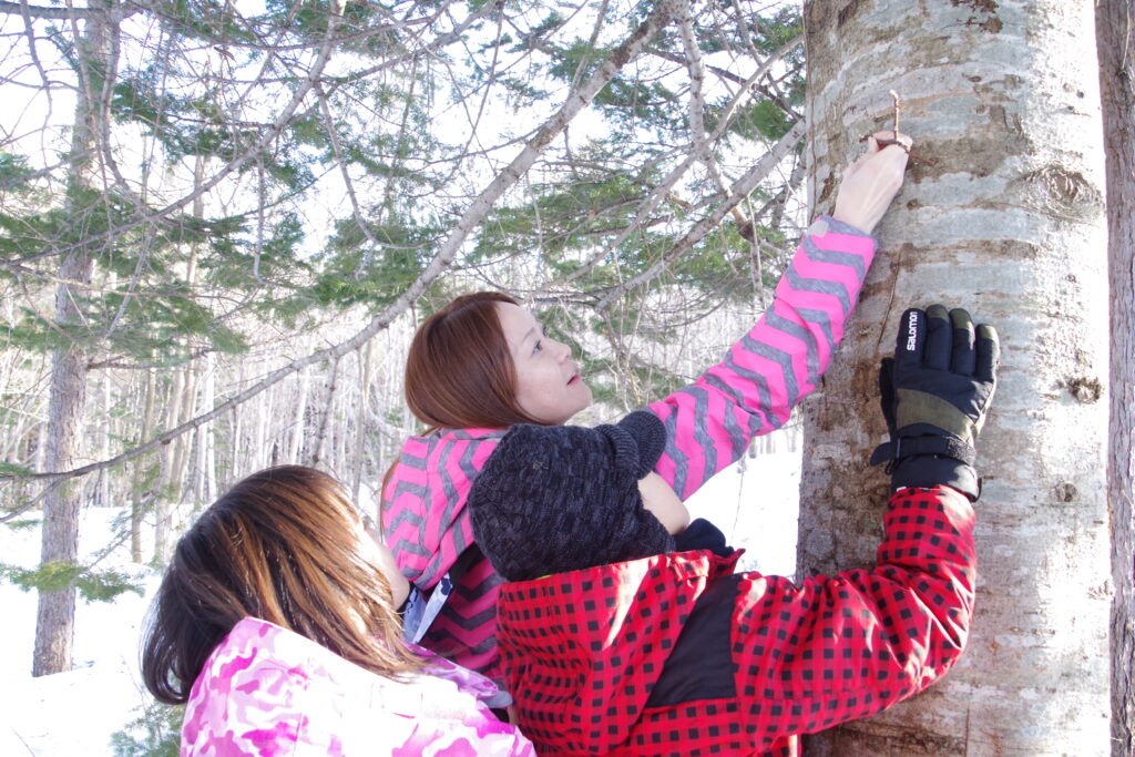 北海道の体験型観光アクティビティの予約サイト