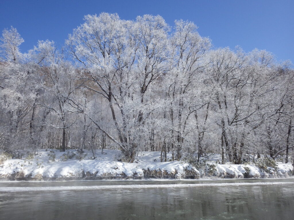 北海道の体験型観光アクティビティの予約サイト